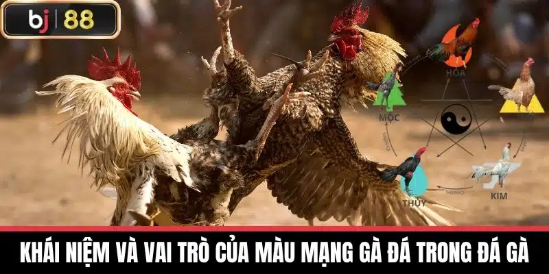 Màu Mạng Gà Đá - Bí Quyết Chọn Màu Phù Hợp Cho Gà Đá 2 Khái niệm và vai trò của Màu Mạng Gà Đá trong đá gà