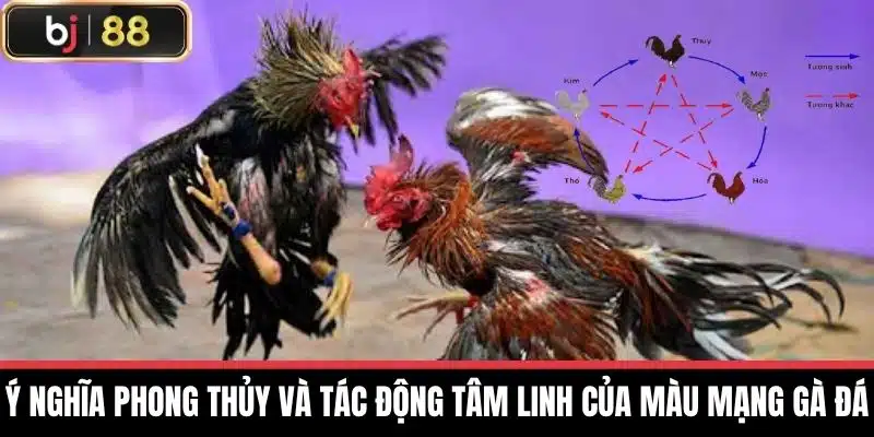 Màu Mạng Gà Đá - Bí Quyết Chọn Màu Phù Hợp Cho Gà Đá 3 Ý nghĩa phong thủy và tác động tâm linh của Màu Mạng Gà Đá