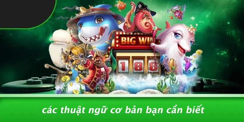 HACK TÀI XỈU: BÍ QUYẾT CHINH PHỤC BÀN CƯỢC DỄ DÀNG 2 Các Thuật Ngữ Cơ Bản Bạn Cần Biết